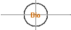 Bio