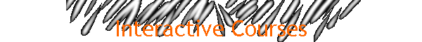 Interactive Courses