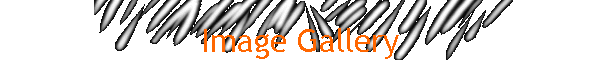 Image Gallery